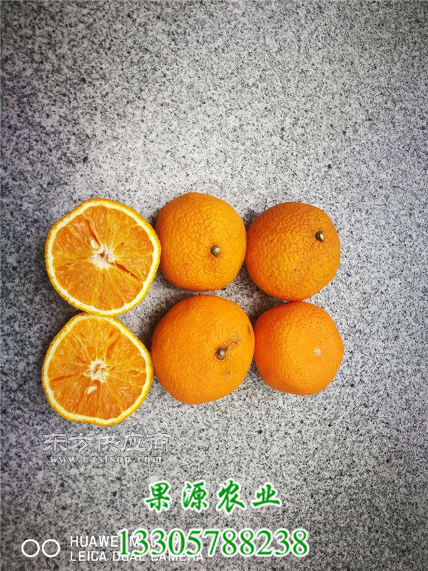 甜桔柚功效_桔柚_果源农业深受欢迎(查看)图片