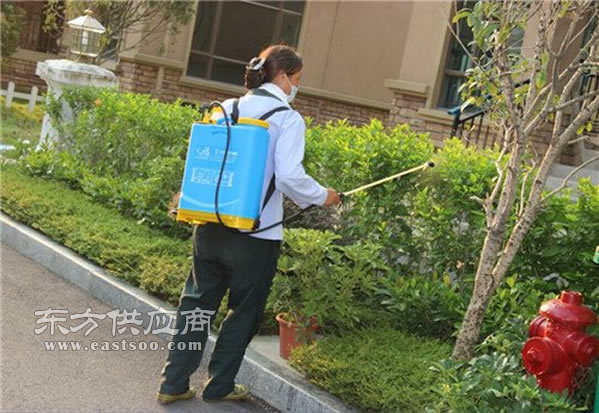 餐饮灭蟑螂、康泰有害生物防治(在线咨询)、济