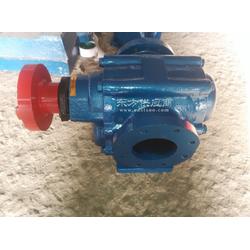 源鸿泵业供应ZYB18-0.36硬齿面渣油泵，不锈钢泵，耐腐蚀泵图片