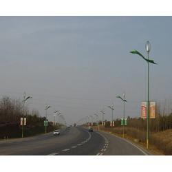 滁州led路灯，led路灯厂家，安徽迈尔威图片