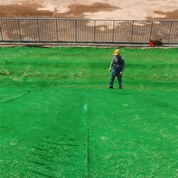 护坡三维植被网公路边坡绿化 土工席垫 绿化常用三维网垫尾矿山坡固土绿化图片