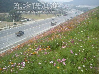 郑州秸秆草毯护坡,边坡防护生态植被毯,环保草